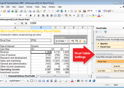 Excel Pivot Spezialist