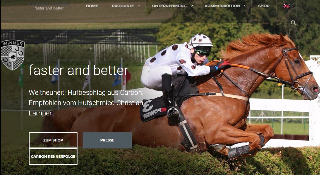 bild cwinner horse